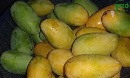 Mango Juice - Image 4